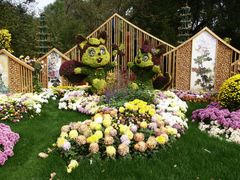 -上海共青森林公园