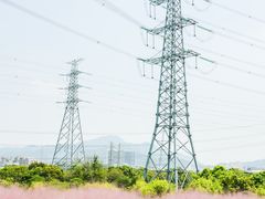 -光明小镇欢乐田园