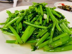 -老品芳