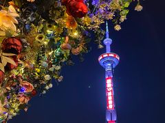 -成都娃娃花园餐厅 (南艺旗舰店)