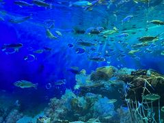 -海合安成都极地海洋公园