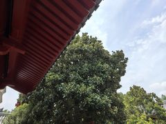 -大慈恩寺(大雁塔)