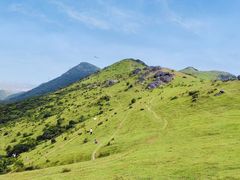 -大姆山草场