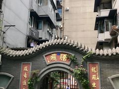 -泡桐树街