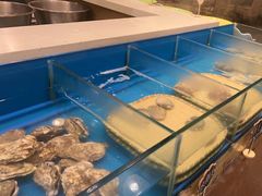 -火舞泰·泰式海鲜火锅餐厅(世纪城店)