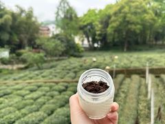 -野蔓果·山野菜(西湖景区·龙井茶田店)
