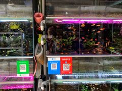 -万商花鸟市场