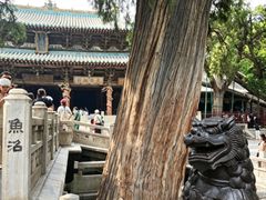 -晋祠博物馆