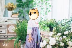 -WPlus明星肖像亲子全家福摄影