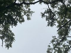 -浮槎山