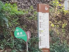 -金鸡山公园