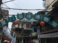 -猫咪博物馆(顶澳仔猫街店)