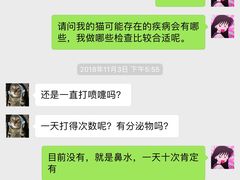 -安安宠医宠物医院·异宠·犬猫内科(岳阳分院)