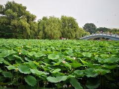 -二一九公园