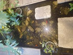 -邈墨茶馆(大兜路1号店)