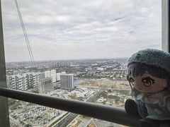 -嘉定凯悦·咖啡厅