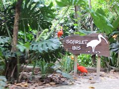 iphone_upload_pic-河川生态园