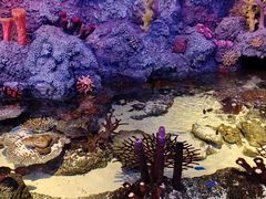 -沈阳海洋探索中心