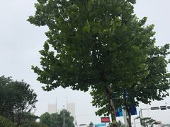 -青岛汽车北站