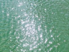 -南湖湿地公园