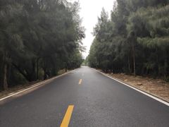 -长江澳风力发电景观区