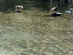 -水磨沟公园