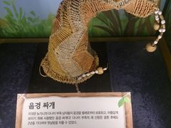 -信不信由你博物馆