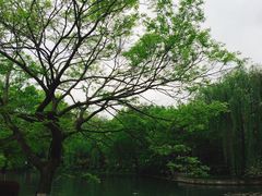 -西湖天地