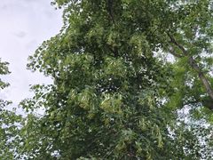 -燕郊植物园
