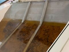 -白鹤梁水下博物馆