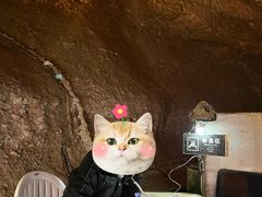 -寻龙山风景旅游区