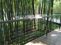 -云溪植物园