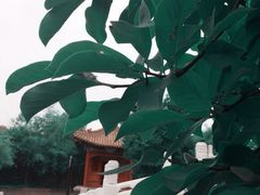 iphone_upload_pic-横店影视城明清宫苑园区