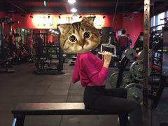 -豪思成DK健身私教连锁(凯乐国际店)