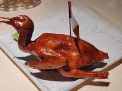 -侨美食家·粤菜(体育西路店)