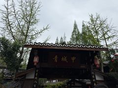 -青城甲(青城山店)