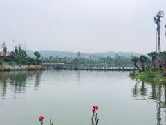 -枫香湖儿童公园