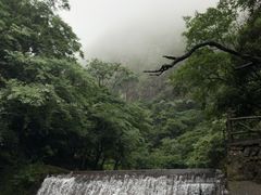 -白云源风景区