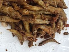 -柳周农家菜特色老店沙田柚美食(东大街店)
