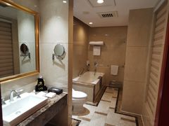 -圣爵菲斯大酒店(长沙世界之窗店)