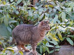 -苏州河梦清园环保主题公园