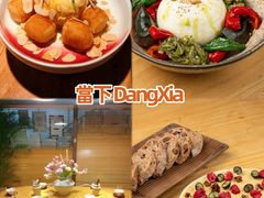 -當下 DangXia