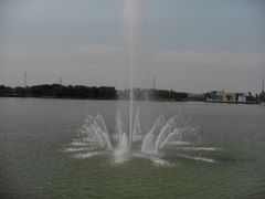 -白塘生态植物园