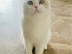 -芭比堂动物医院·CT·微创中心(新顺分院)