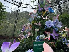 -野象谷景区
