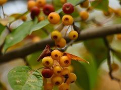 -元大都城垣遗址公园