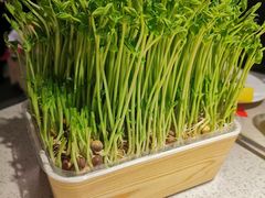 -海底捞大排档火锅(悦荟广场店)