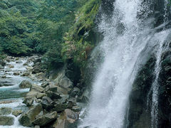 -大鄣山卧龙谷景区