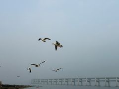 -黑石礁公园