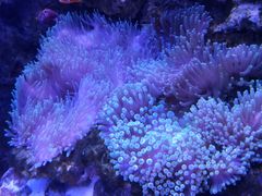 -多彩贵州城极地海洋世界